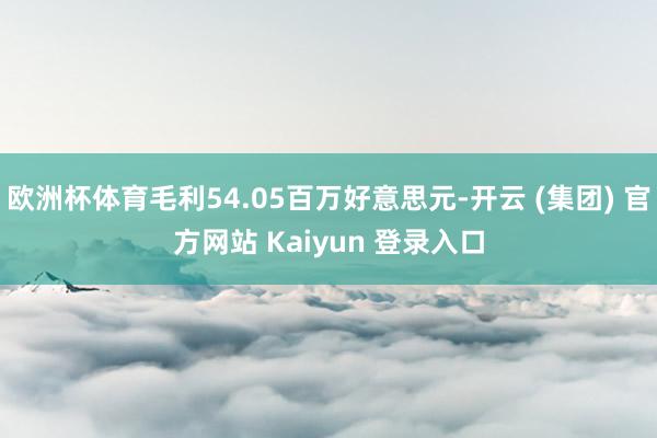   欧洲杯体育毛利54.05百万好意思元-开云 (集团) 官方网站 Kaiyun 登录入口